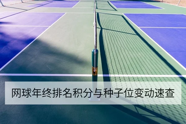 网球大满贯种子球员对阵概率与胜率数据查询